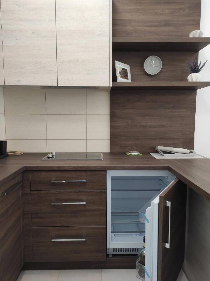 Studio Apartman Dani Banja Koviljača Exterior foto