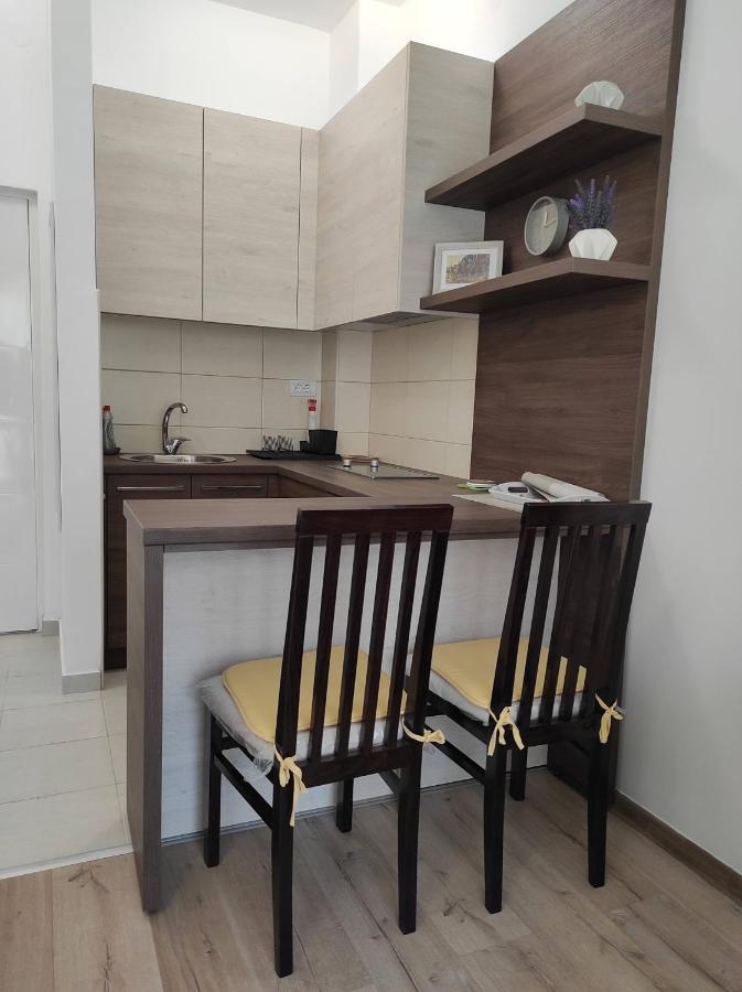 Studio Apartman Dani Banja Koviljača Exterior foto